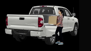 Truck Fusion sample 2